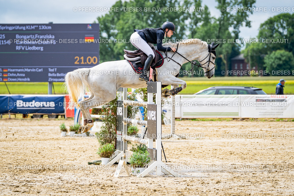 DSC04105 | Pferdegrafie