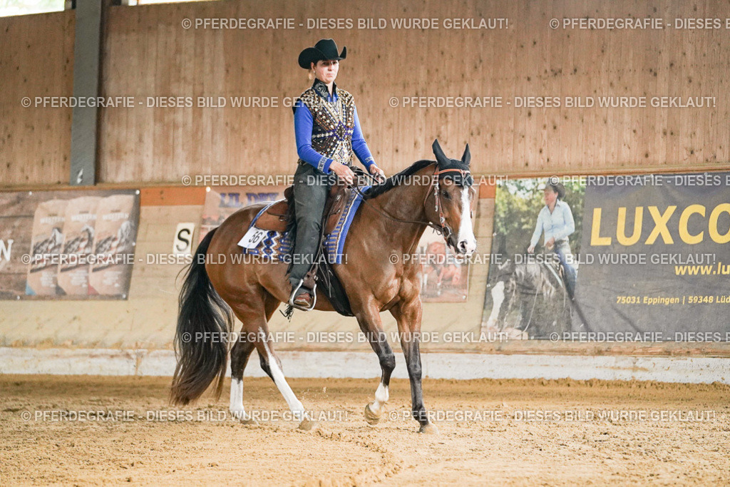 DSC05634 | Pferdegrafie