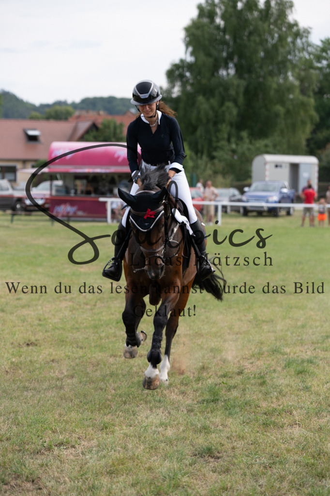 A7V03021 | Pferdefotograf