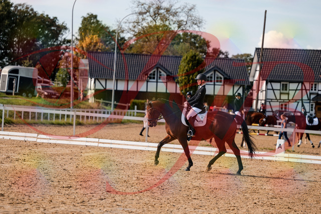 2026_10_03_Siefer-Hof_131022_Z63_72739529 | Professionelle Reitsport-, Turnier- und Eventfotografie von Robert Broda. Galerien mit ausgewählten und bearbeiteten Bildern direkt online ansehen und bestellen.