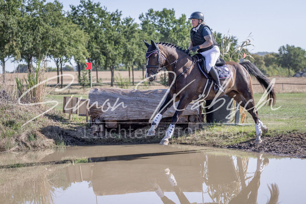 20260906-_3LI2226 | Tierfotografie Pferde, Hunde, Katzen, Haustiere.
Turnierfotografie Reitturniere, Reiten, Springreiten, Dressur in Hanau, dem Main-Kinzig-Kreis und dem Rhein-Main- Gebiet um Frankfurt