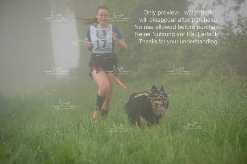 SA_GL2-111 | stephaniefillaphotographie - Realisiert mit Pictrs.com