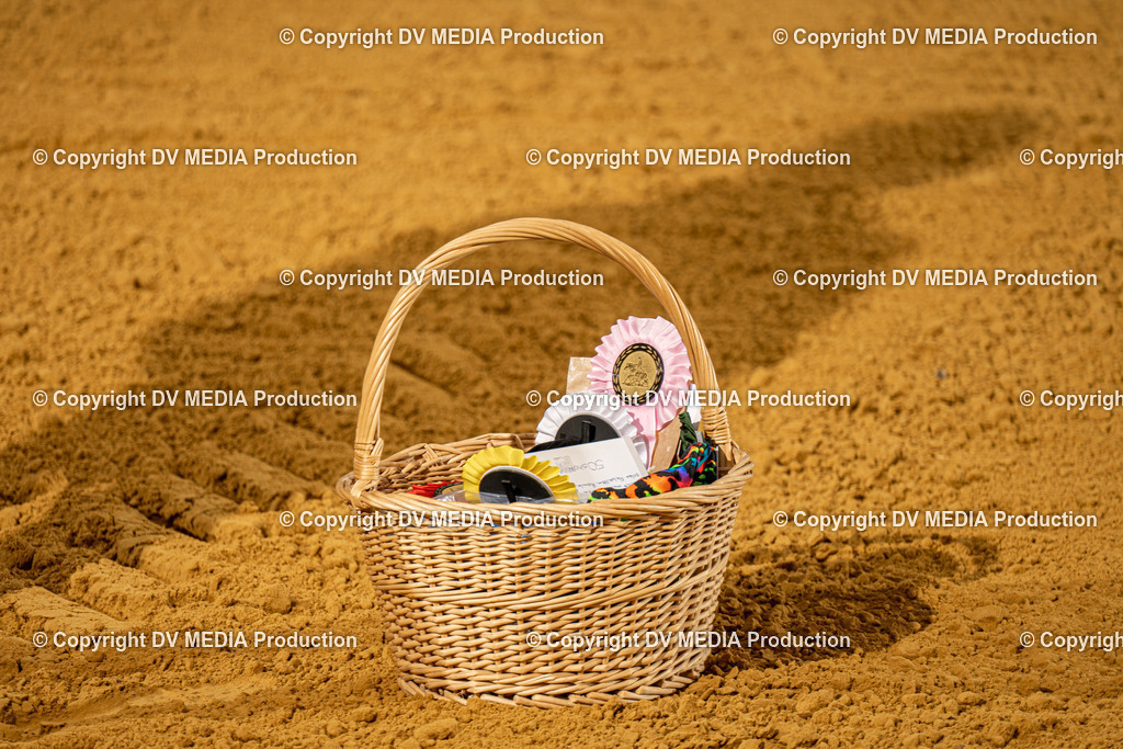 MIT00779 | dv-media-shop - Realisiert mit Pictrs.com