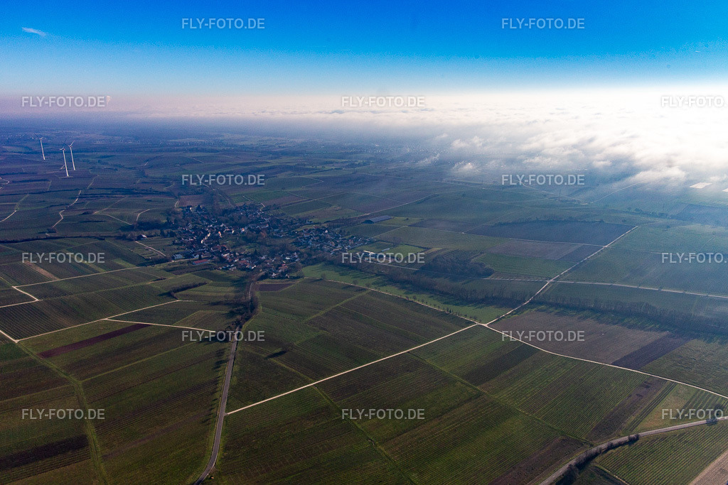 Bienwald unter Wolken | Luftbild: Bienwald unter Wolken in Dierbach im Bundesland Rheinland-Pfalz in Deutschland. Foto: IMG_145011.jpg vom 27.12.2024 durch ©2025 Werner Riehm fly-foto.de/copyright - Realisiert mit Pictrs.com