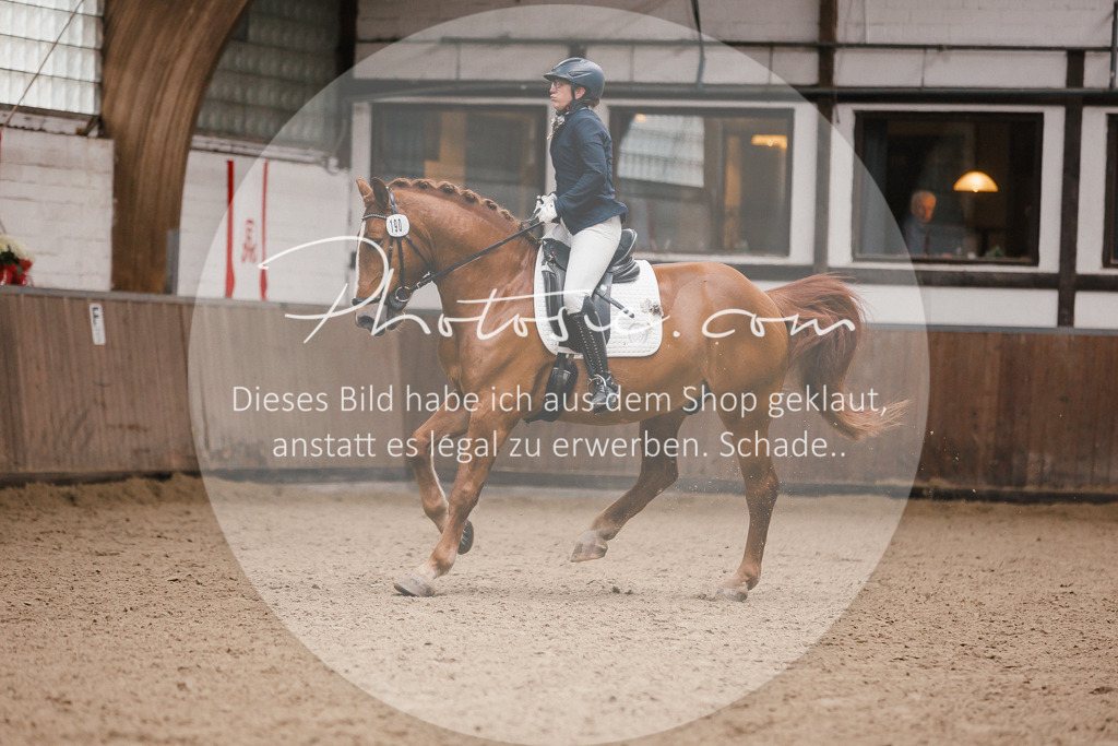 3I6A7278 | Stimmungsvolle Portraits und Reitsportfotografie im Ruhrgebiet und im Münsterland.

Pferdefotografie, Hundefotografie, Tierfotografie, Reportagen, Portraits von Tier und Mensch, Turnierfotografie in Bochum, Recklinghausen, Marl, Haltern am See, Dülmen.. - Realisiert mit Pictrs.com