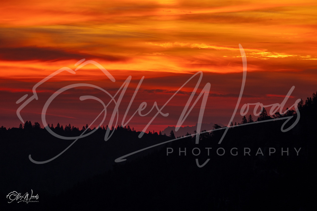 20240922_070701_SA933362_AlexWoods_FullSize | Alex Woods Photography