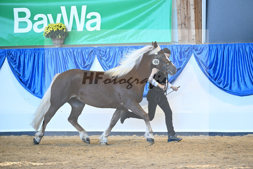 Kat-Nr. 106 Fennja_Reichmann_53220753 | hf-fotografie - Realizzato con Pictrs.com