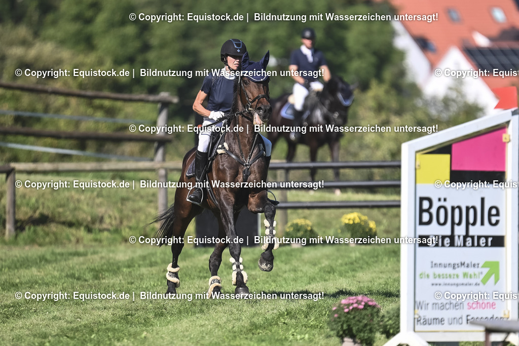 20230908_24_Springen_M_0042 | equistock