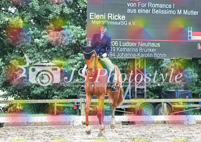 20250727_Dressurpferdeprfg_Kl.L-115 | JS-Photostyle - Sport-/Portrait- & Eventfotografie