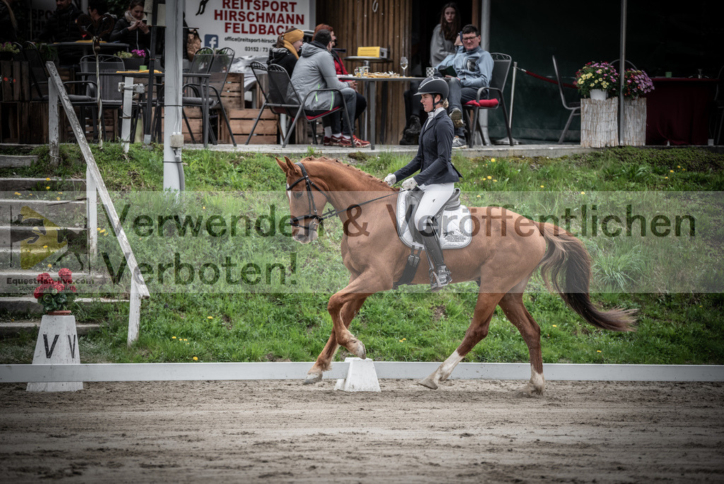 DSC_9573 | equestrian-live-com