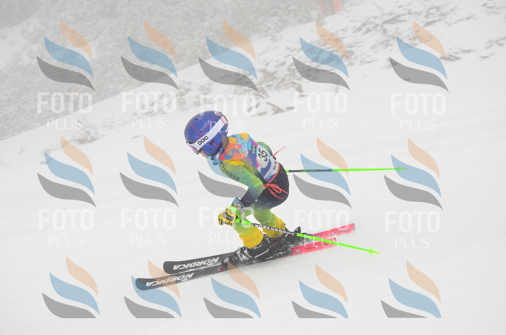 C0806 | holidayphoto