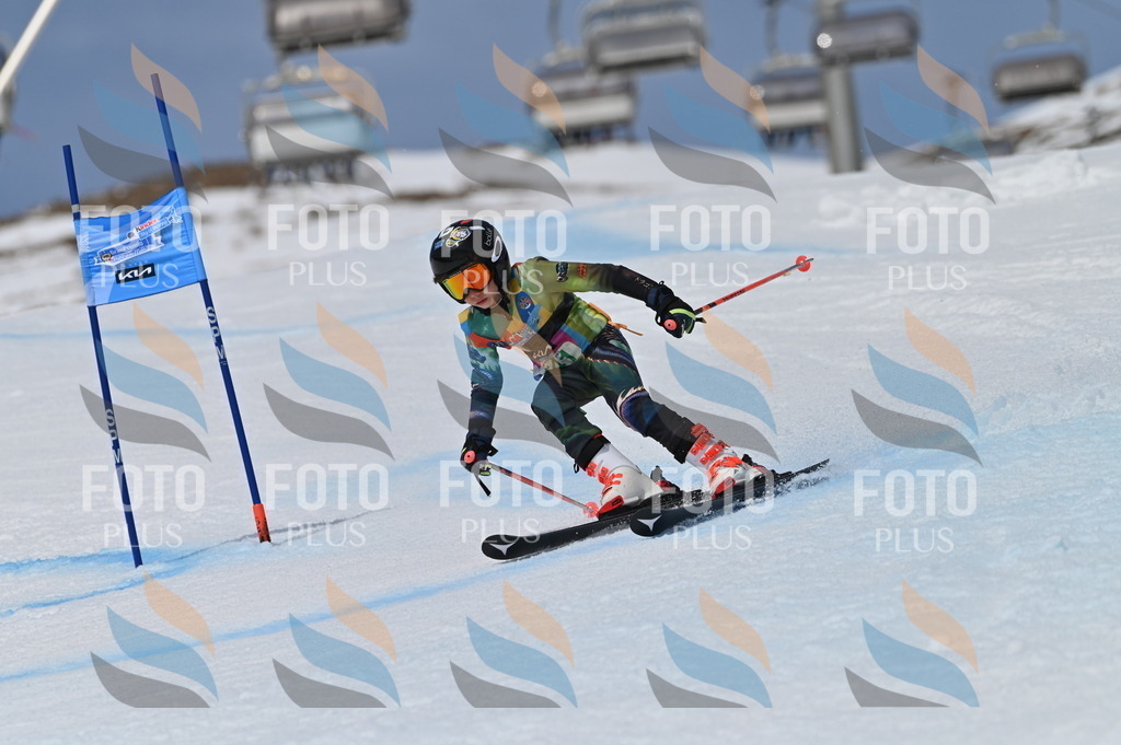 BGV_6783 | holidayphoto