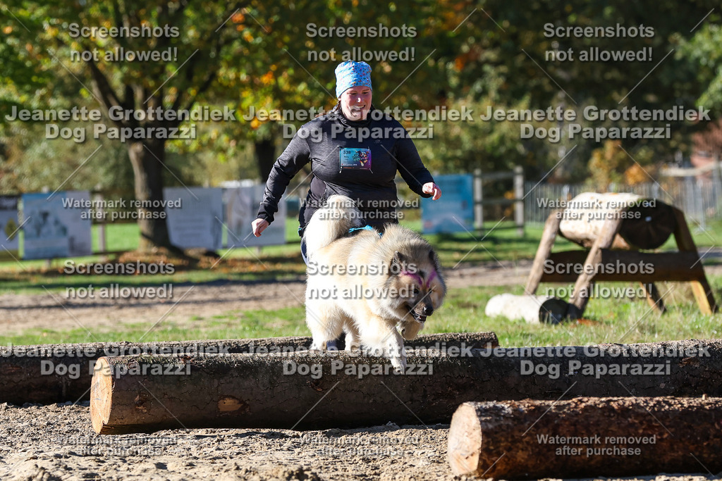 Dog Paparazzi - Strongdog 10-25-2560 | Dog Paparazzi Jeanette Grottendiek Fotografie & Videografie - Realisiert mit Pictrs.com