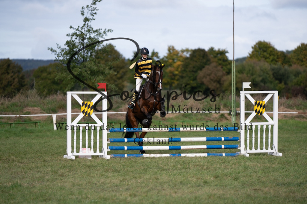 A7V06547 | Pferdefotograf