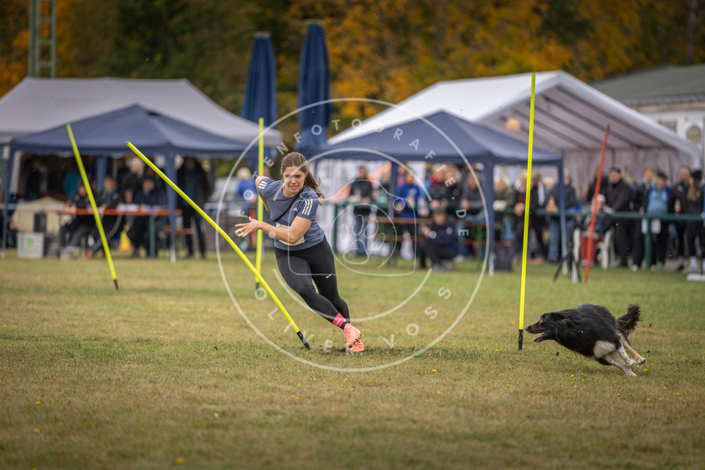 Pfotenfotografie_DV3A7499 | Hundefotografie, Tierfotograf, Pfotenfotografie, Fotoshooting Hund, Hunde Portrait, Hundesport, Hundeportraits, Heideshooting, Hunde, Sportfotograf, Hundefotograf, Turnierhundsport, THS,  - Realisiert mit Pictrs.com