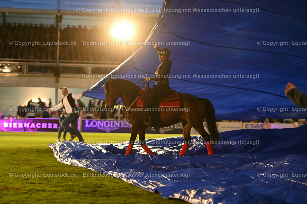 20230526_Pferdenacht_1066 | equistock