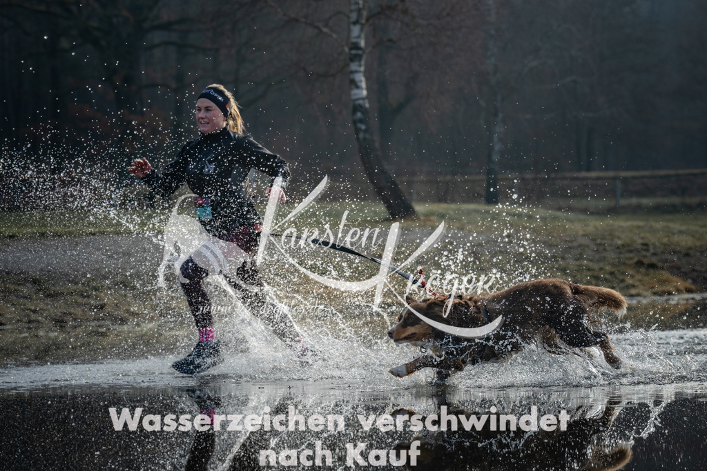 0837_ZZ97732 | kk-dogfotos