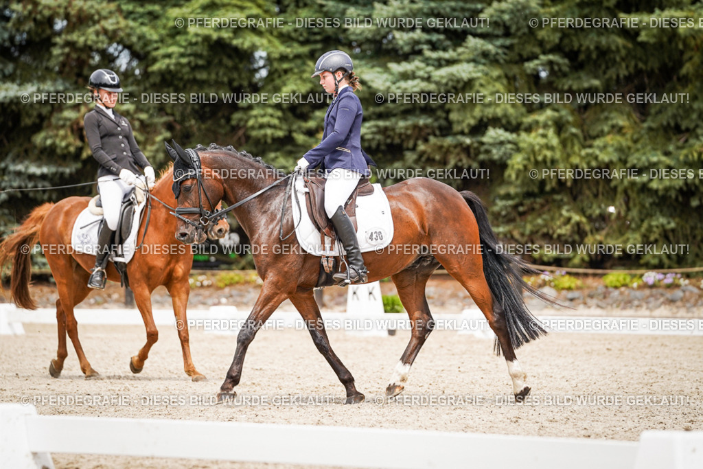 DSC04308 | Pferdegrafie