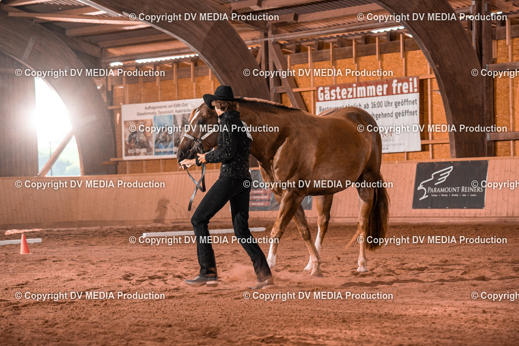 NE100114 | dv-media-shop - Realisiert mit Pictrs.com