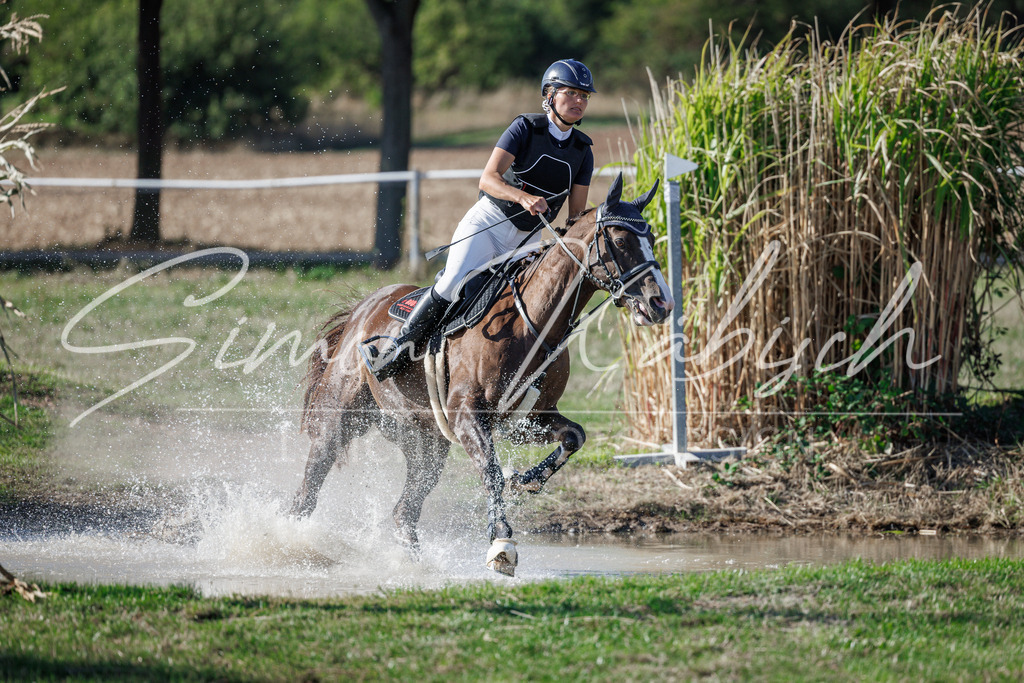 20260905-_3LI0497 | Tierfotografie Pferde, Hunde, Katzen, Haustiere.
Turnierfotografie Reitturniere, Reiten, Springreiten, Dressur in Hanau, dem Main-Kinzig-Kreis und dem Rhein-Main- Gebiet um Frankfurt