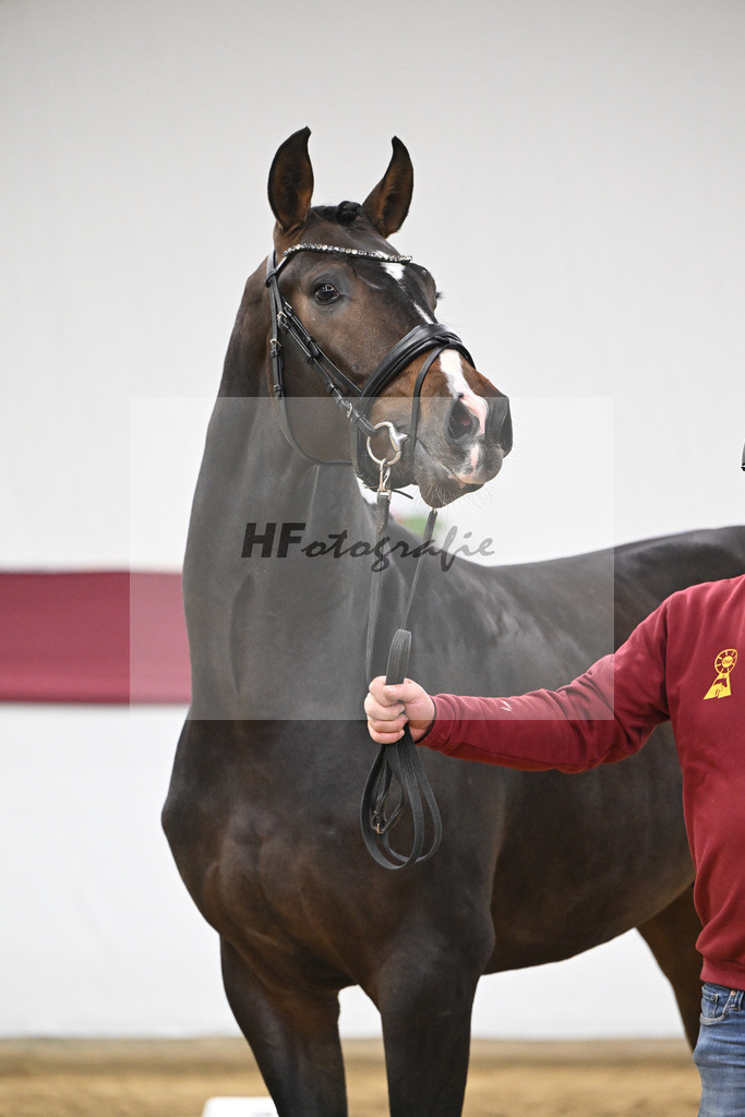 Kat-Nr. 42 So Perfect x Dancier_ZG Nahm_47251464 | hf-fotografie - Realisiert mit Pictrs.com