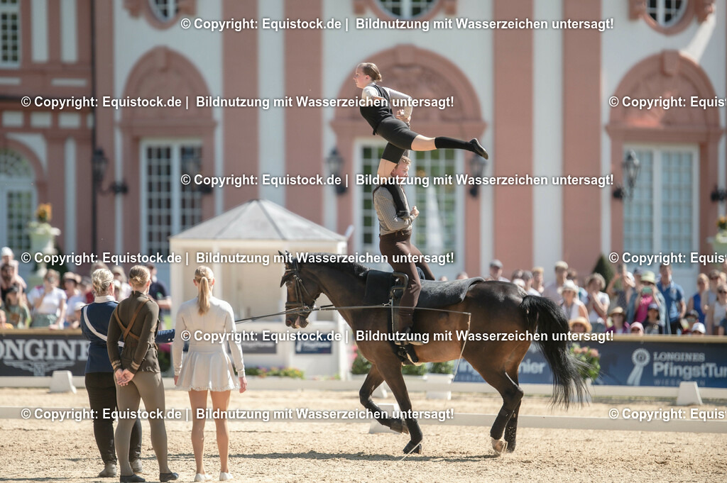 20230528_Voltigieren_NASPA_0608 | equistock