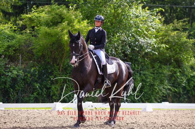DKP41535 | Turnierfotos kaufen im Webshop von Daniel Kuhl Photography – entdecke professionelle Reitsportfotos aus Turnieren & Events. Hochwertige Turnierbilder online bestellen & sichern. Jetzt Fotos von Reitsportturnieren kaufen!