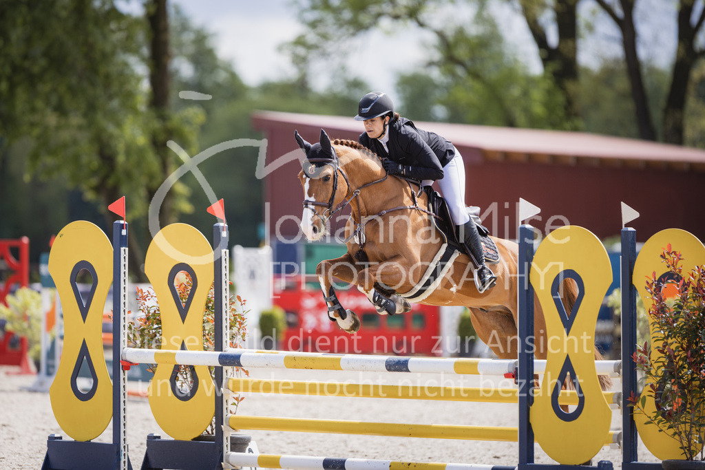 230516_Mühlen_03SprPf-A-439 | Deine schönsten Turniermomente als professionelle Fotos! Entdecke hochwertige Pferdesport-Fotografie im Online-Shop. Jetzt Fotos finden & bestellen!