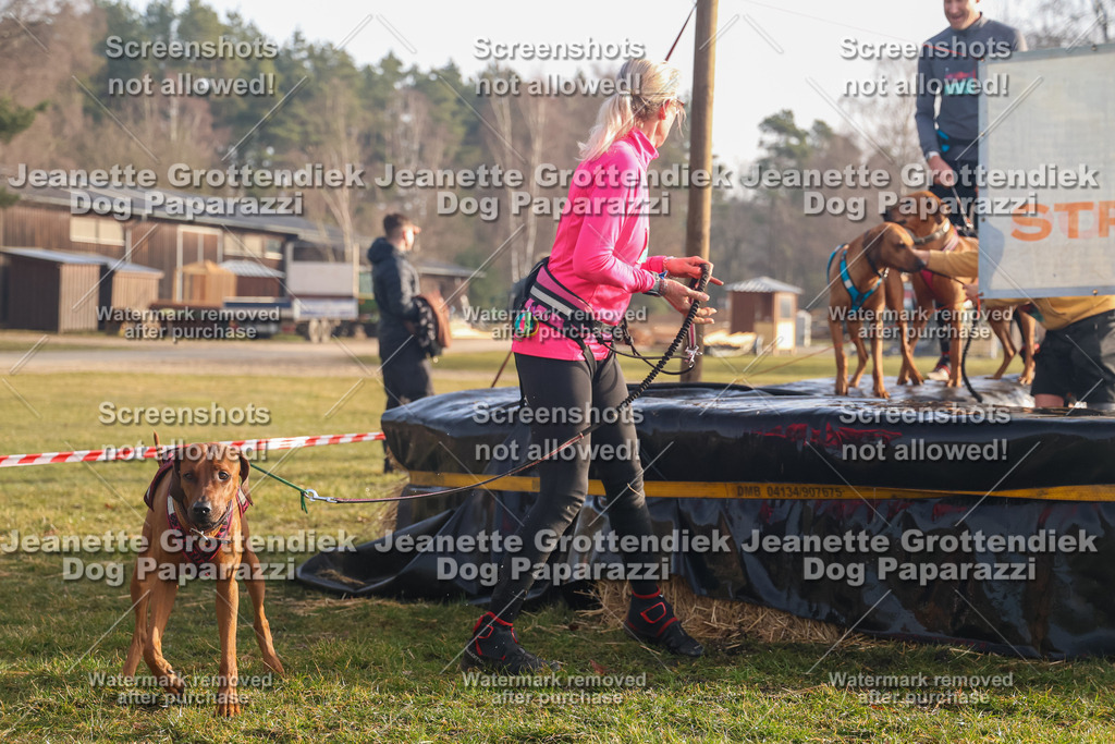 Dog Paparazzi - SD North 0326 900930-276 | Dog Paparazzi Jeanette Grottendiek Fotografie & Videografie - Realisiert mit Pictrs.com