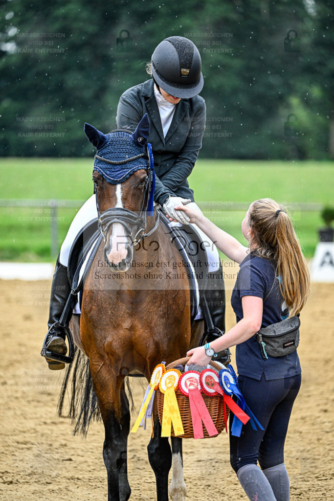 Reitturnier Hasbergen | Entdecke hochwertige Reitturnierfotos von Foto Oger. Professionell, emotional und authentisch – jetzt Lieblingsmomente im Shop bestellen. - Realisiert mit Pictrs.com