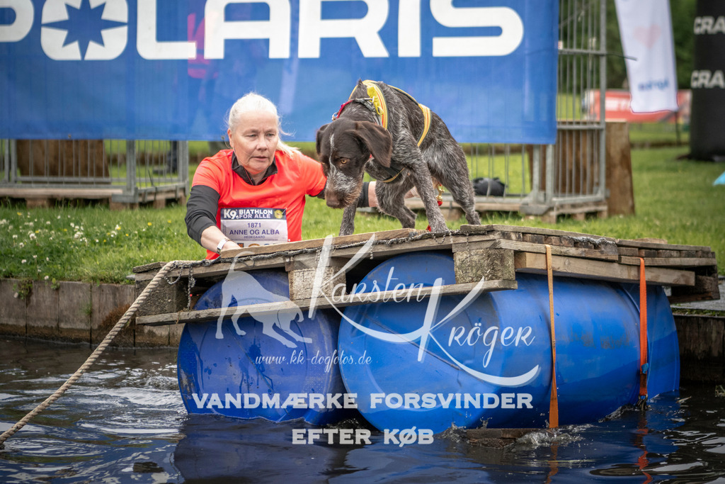 1001_ZZ93576 | kk-dogfotos