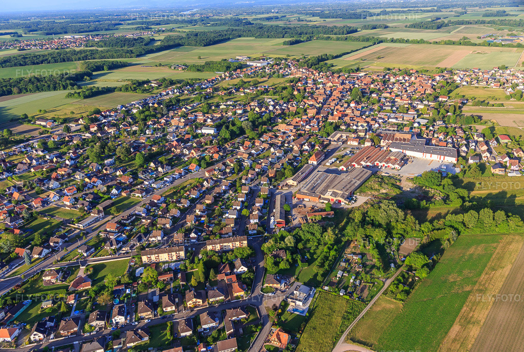 Luftbild: Ortsansicht aus Westen in Wittisheim im Bundesland Bas-Rhin in Frankreich. Foto: IMG_147357.jpg vom 29.05.2025 durch Werner Riehm/FLY-FOTO.de