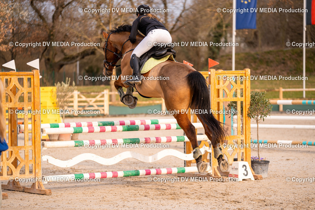 Kranichstein Tag 2-1473 | dv-media-shop - Realisiert mit Pictrs.com