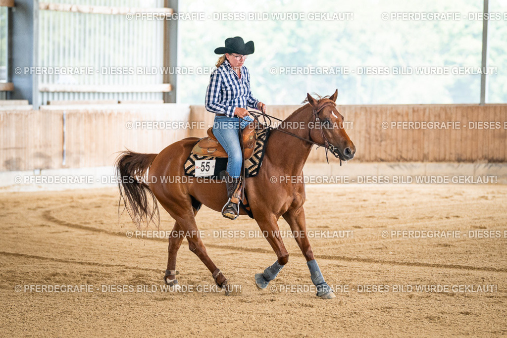 DSC04300 | Pferdegrafie