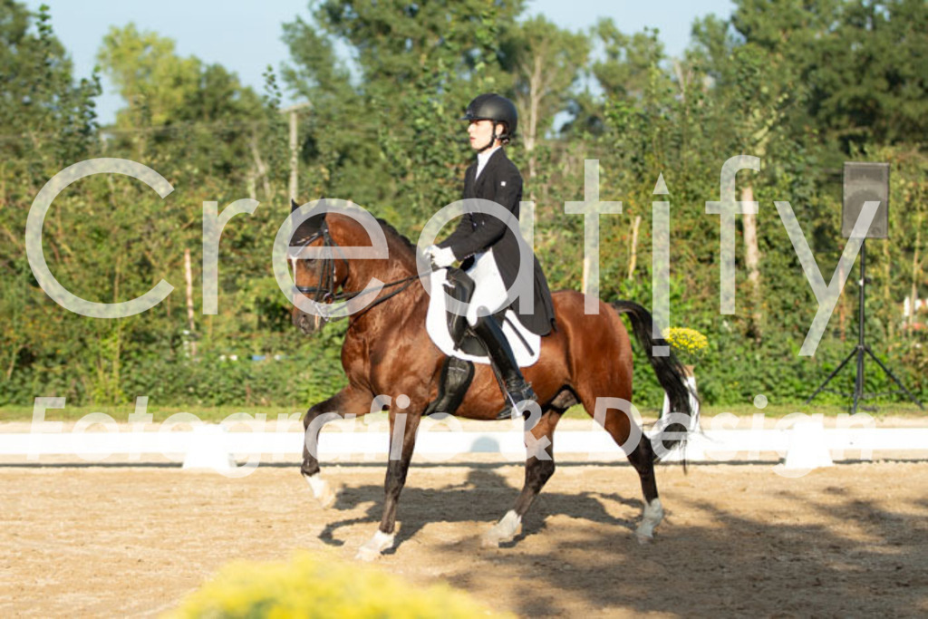 IMG_6279 | Creatify Fotografie