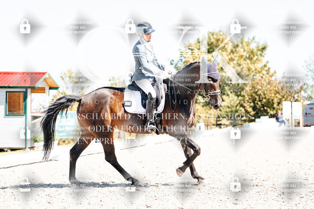 CK909826 | Turnierfotografie Pferdefotografie Trier Rheinland-Pfalz Pferdesport Reitsport Tierfotografie Sportfotografie Pferdevideo Pferdevideografie Equestrianvideography equestrianphotography  - Realisiert mit Pictrs.com