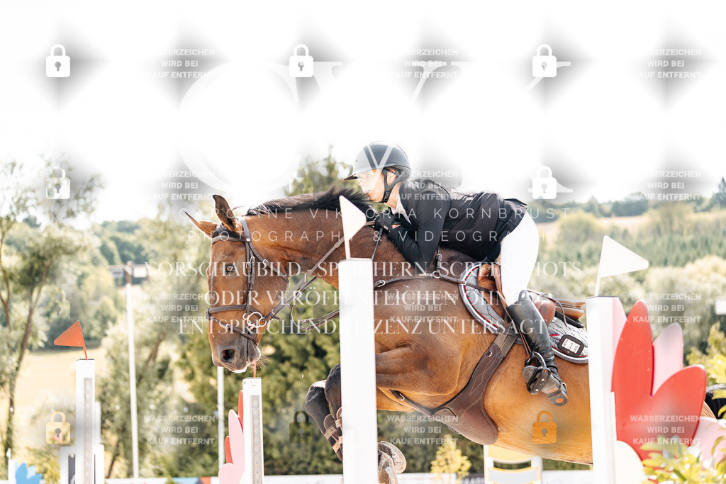 CK909112 | Turnierfotografie Pferdefotografie Trier Rheinland-Pfalz Pferdesport Reitsport Tierfotografie Sportfotografie Pferdevideo Pferdevideografie Equestrianvideography equestrianphotography  - Realisiert mit Pictrs.com