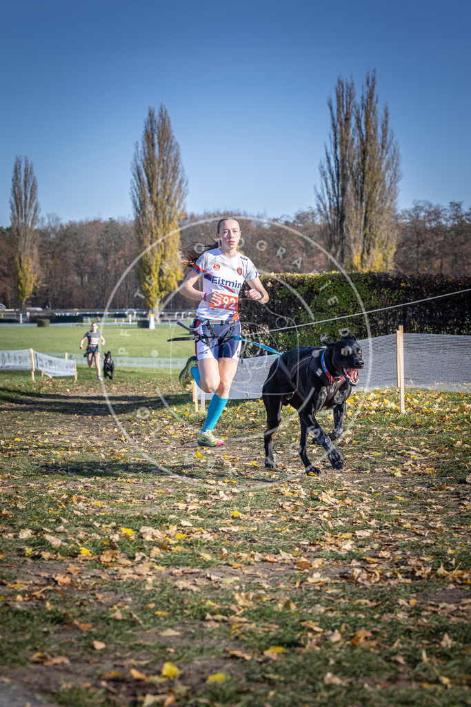 CaniXpix_DV3A9304 | Hundefotografie, Tierfotograf, Pfotenfotografie, Fotoshooting Hund, Hunde Portrait, Hundesport, Hundeportraits, Heideshooting, Hunde, Sportfotograf, Hundefotograf, Turnierhundsport, THS,  - Realisiert mit Pictrs.com