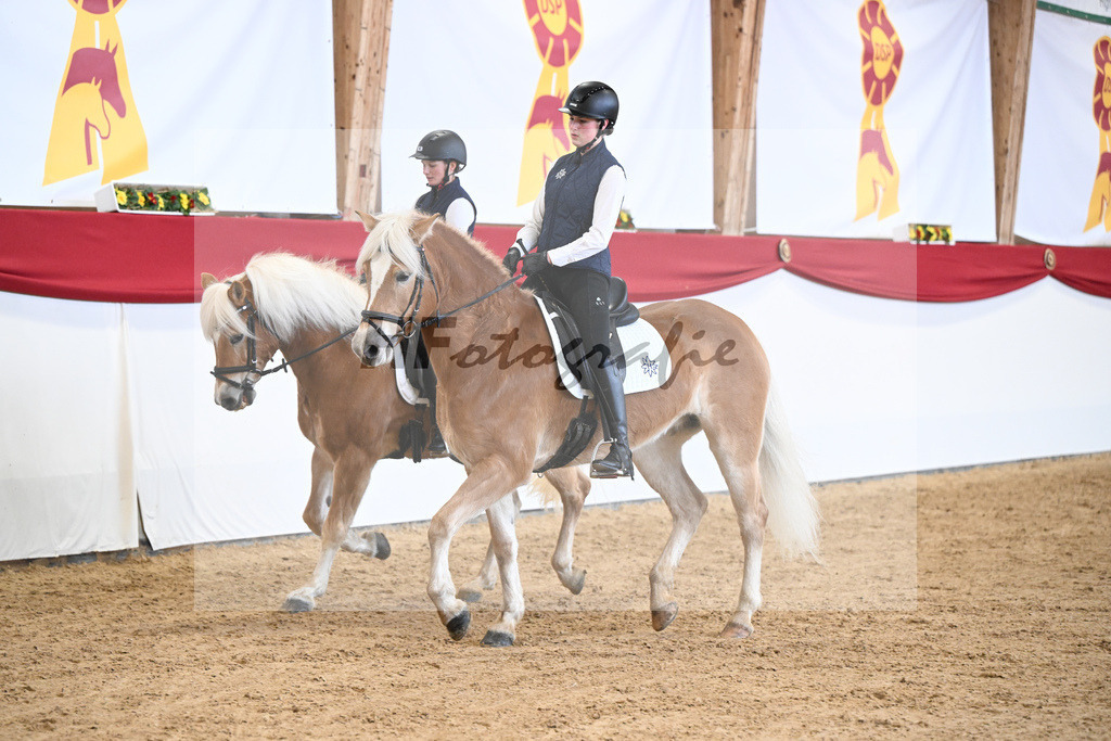 Schauprogramm Haflinger Quadrille_2251513 | hf-fotografie - Realisiert mit Pictrs.com