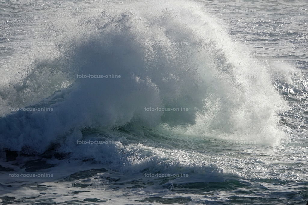 Wild Waves | Wild Waves Atlantic
