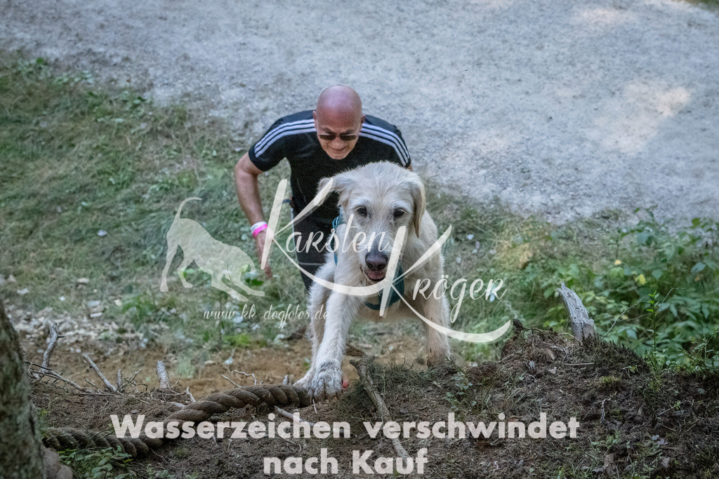1153_ZZ92332 | kk-dogfotos