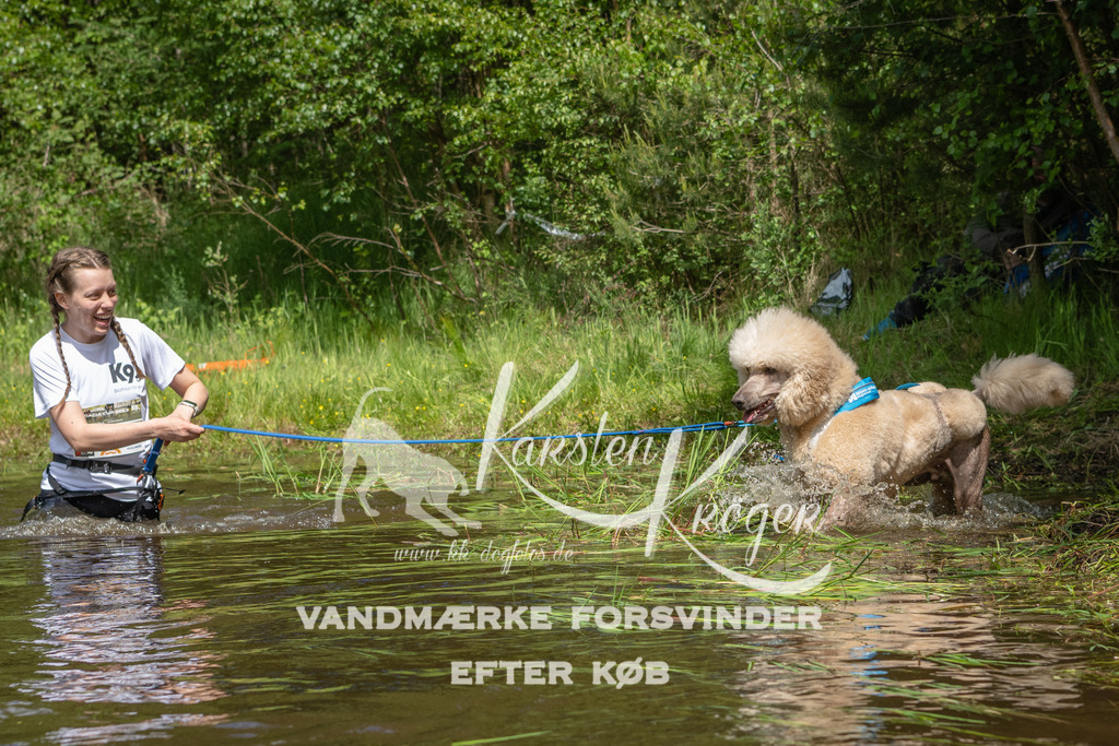 1217DKK992450 | kk-dogfotos