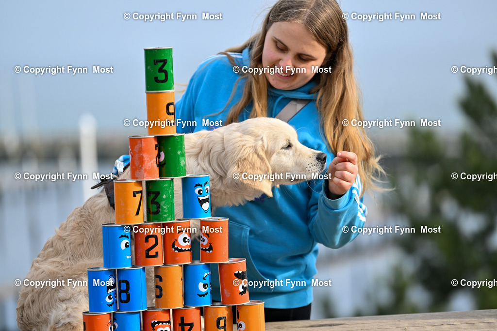 DSC_6551 | Hallo und herzlich Willkommen auf meiner Shop-Seite Fynn Most.

Ich wünsche Dir viel Spaß beim stöbern durch die Bilder, wenn Du Fragen hast oder Bilder vermisst, kannst du mir gerne eine Nachricht schreiben. - Realisiert mit Pictrs.com