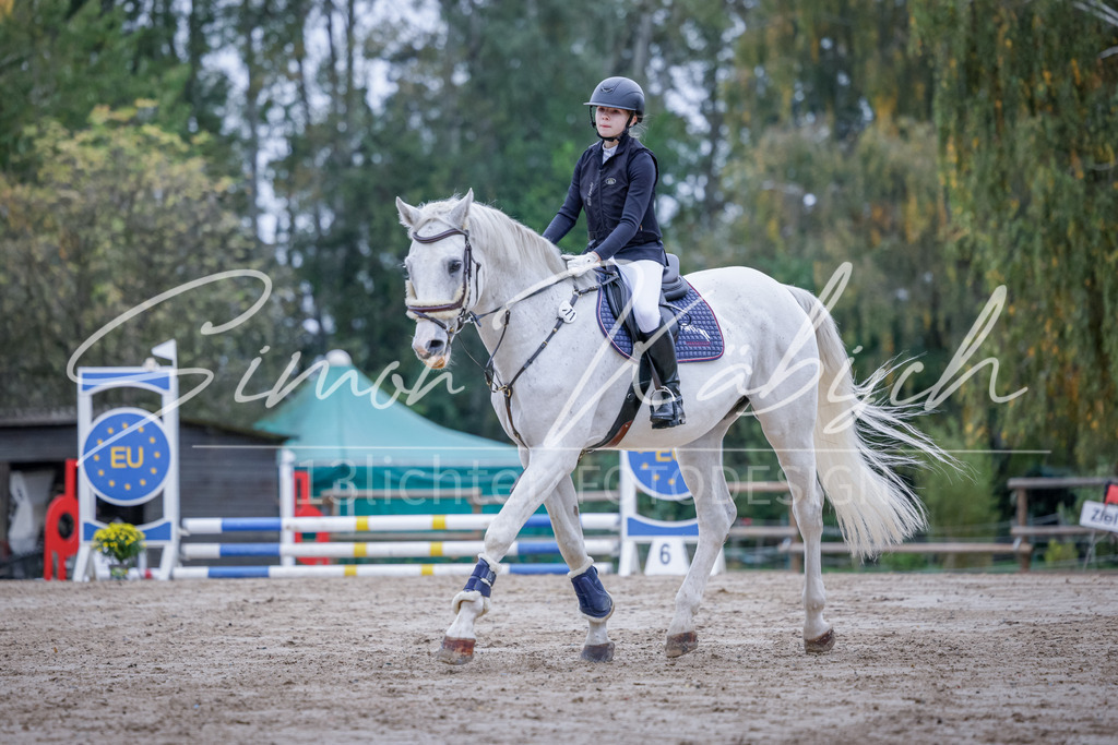20251012-_3LI2742 | Tierfotografie Pferde, Hunde, Katzen, Haustiere.
Turnierfotografie Reitturniere, Reiten, Springreiten, Dressur in Hanau, dem Main-Kinzig-Kreis und dem Rhein-Main- Gebiet um Frankfurt