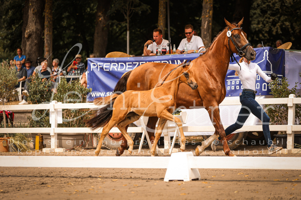 SaPA00027 | Leoni Ertmer Photography - Realisiert mit Pictrs.com