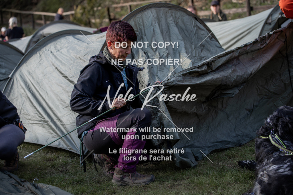 NR__1227 | nelerasche