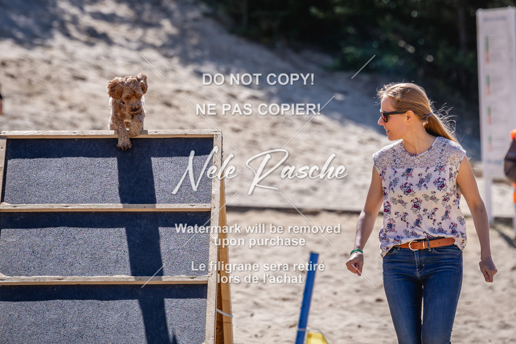 NR__1253 | nelerasche