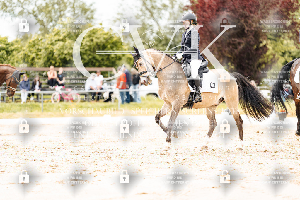 CK902894 | Turnierfotografie Pferdefotografie Trier Rheinland-Pfalz Pferdesport Reitsport Tierfotografie Sportfotografie Pferdevideo Pferdevideografie Equestrianvideography equestrianphotography  - Realisiert mit Pictrs.com