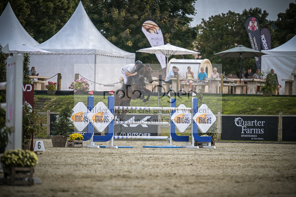 DOS_1973 | Entdecke hochwertige Reitturnierfotos von Foto Oger. Professionell, emotional und authentisch – jetzt Lieblingsmomente im Shop bestellen.Deutschlandweite Turnierfotografie. - Realisiert mit Pictrs.com