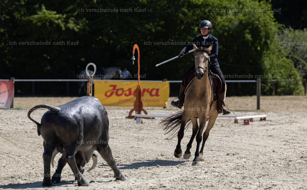WA_Trail_120_KerstinBernhardt-6 | working equitationturnier fotograf videograf stoibphotography marixx film working equitation deutschland reitsport turnierfotografie eventfotografie equestrian events